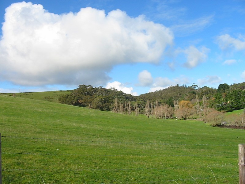 45 Michelmore Drive, Meadows SA 5201