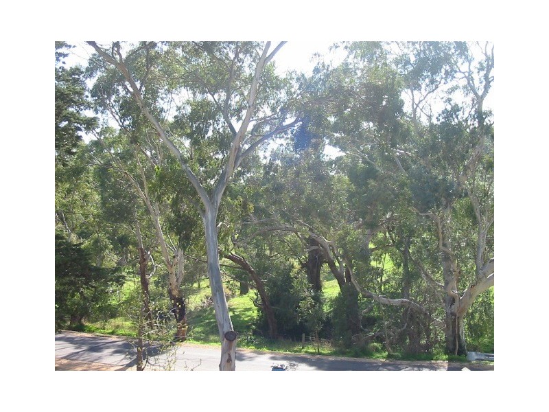 Lot 101 Kingrose Street, Macclesfield SA 5153