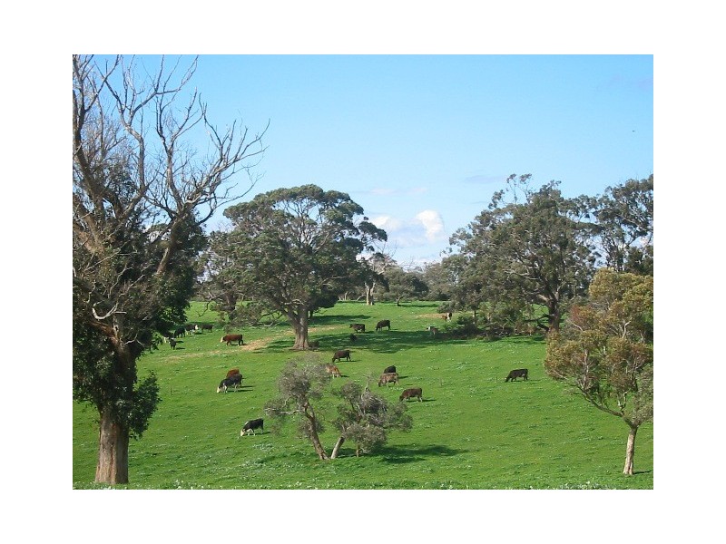 Lot 132 Range Road, The Range SA 5172