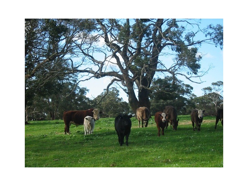 Lot 132 Range Road, The Range SA 5172