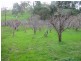 Lot 21 Goolwa – Meadows Road, Ashbourne SA 5157
