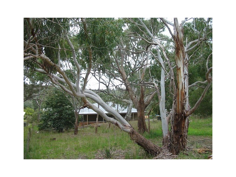 2B Pemberton Court, Macclesfield SA 5153