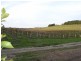 Lot 1 Twenty Eight Road, Mclaren Vale SA 5171