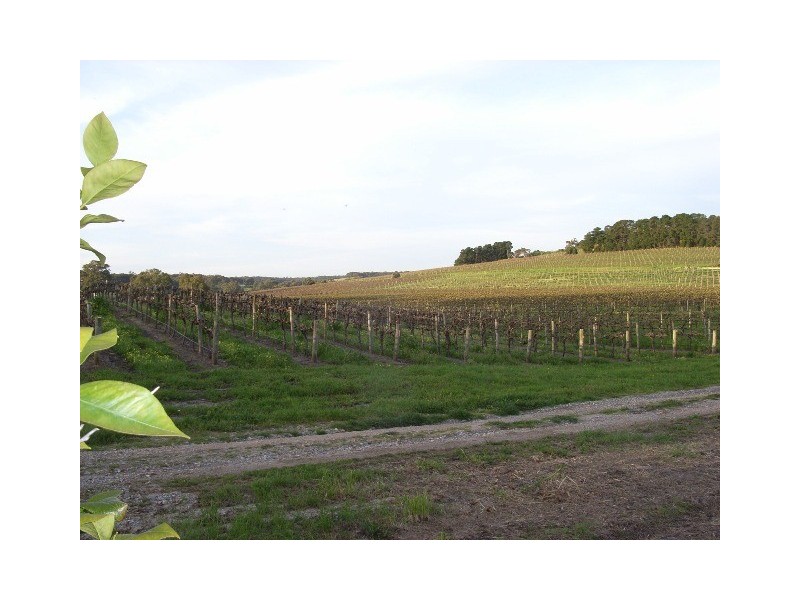 Lot 1 Twenty Eight Road, Mclaren Vale SA 5171