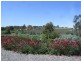 Lot 1 Twenty Eight Road, Mclaren Vale SA 5171
