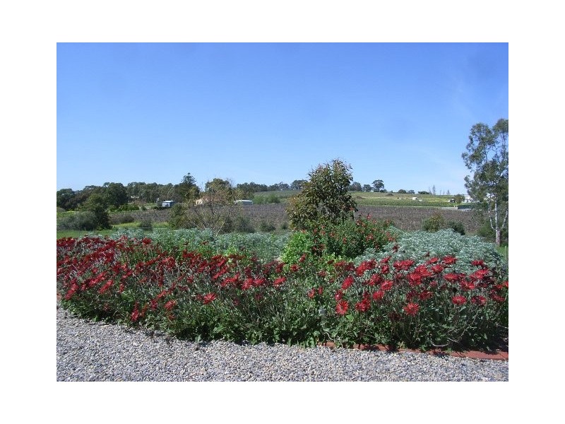 Lot 1 Twenty Eight Road, Mclaren Vale SA 5171