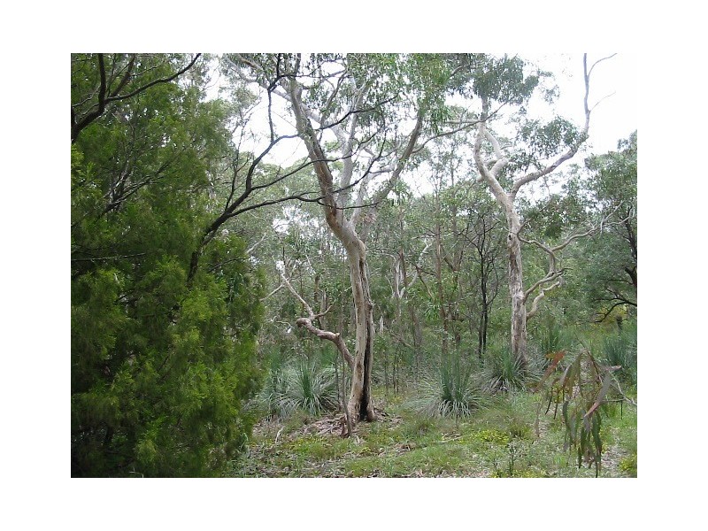 2/131 Willis Road, Flaxley SA 5153