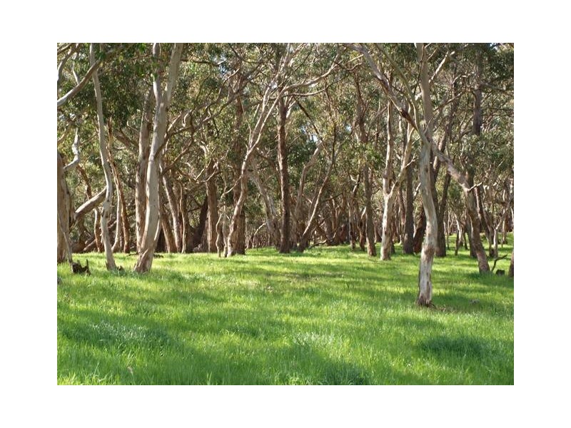 Lot 153 Peel Road, Pages Flat SA 5172