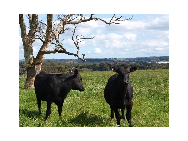 Lot 153 Peel Road, Pages Flat SA 5172