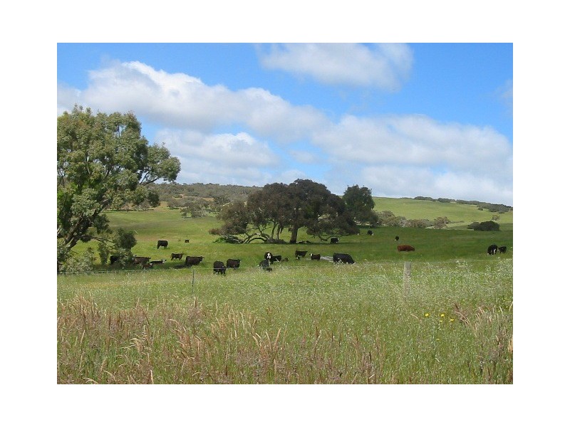 Lot 2 Maidment Road, Ashbourne SA 5157