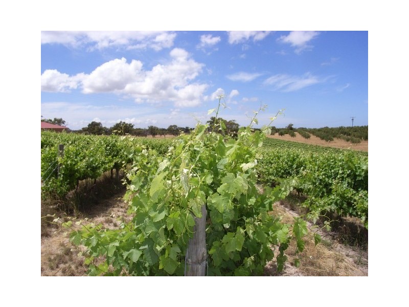 Lot 12 Finniss Park Road, Currency Creek SA 5214