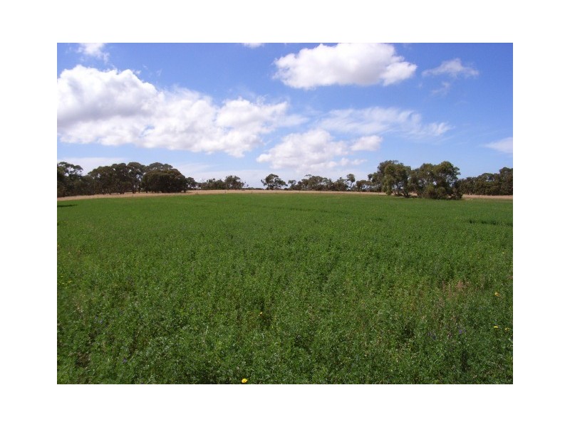 Lot 12 Finniss Park Road, Currency Creek SA 5214
