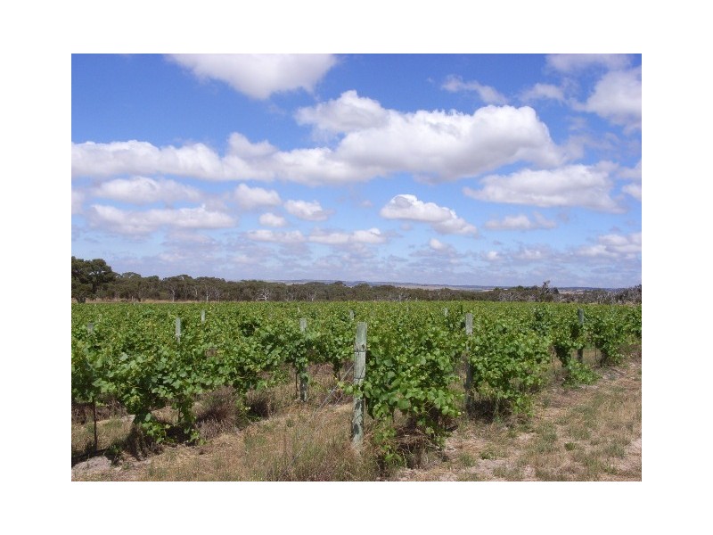 Lot 12 Finniss Park Road, Currency Creek SA 5214