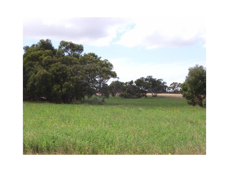 Lot 12 Finniss Park Road, Currency Creek SA 5214
