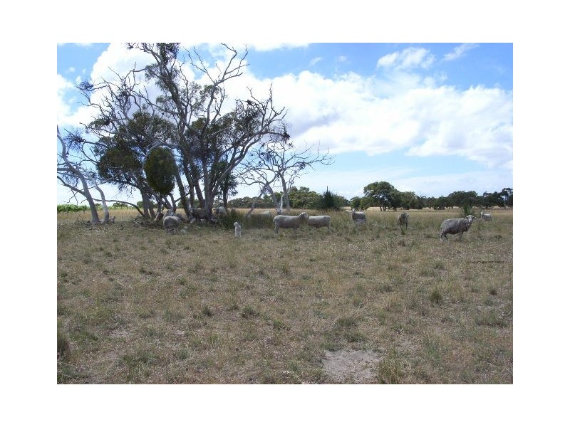 Lot 12 Finniss Park Road, Currency Creek SA 5214