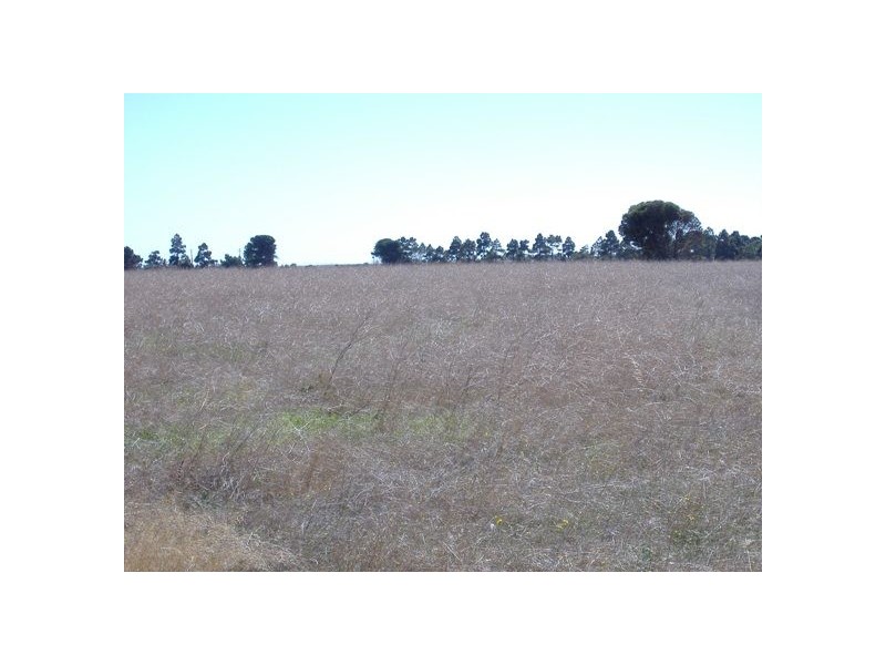 Lot 53 Dalrymple Terrace, Stansbury SA 5582