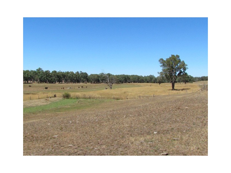 Lot 1 Battunga Road, Meadows SA 5201