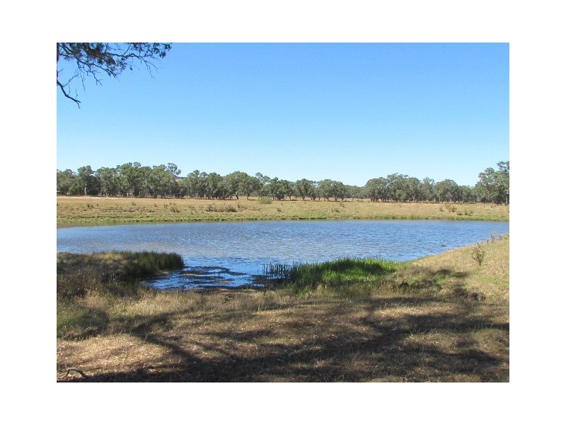 Lot 1 Battunga Road, Meadows SA 5201