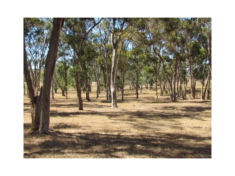 Lot 1 Battunga Road, Meadows SA 5201