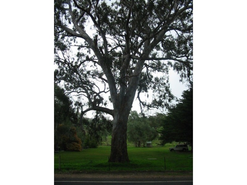 Lot 22  Goolwa – Meadows Rd, Ashbourne SA 5157