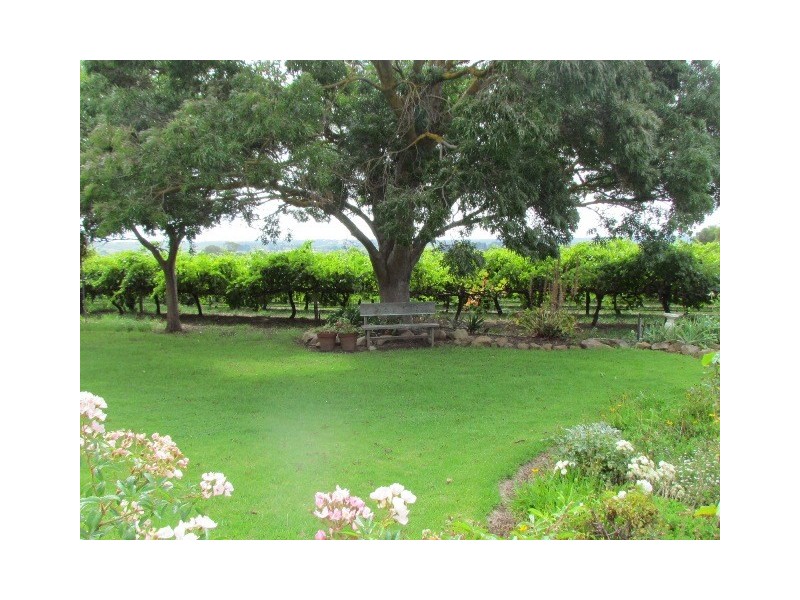 72 Hamilton Road, Mclaren Flat SA 5171