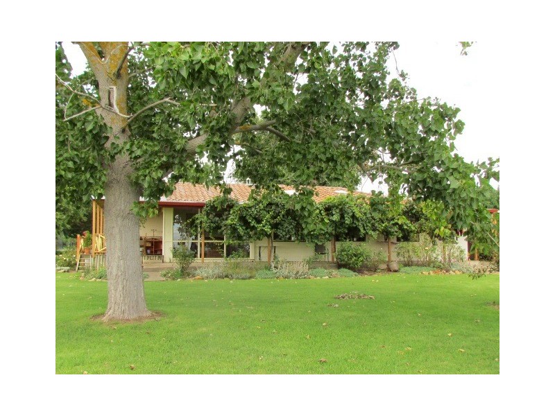 72 Hamilton Road, Mclaren Flat SA 5171