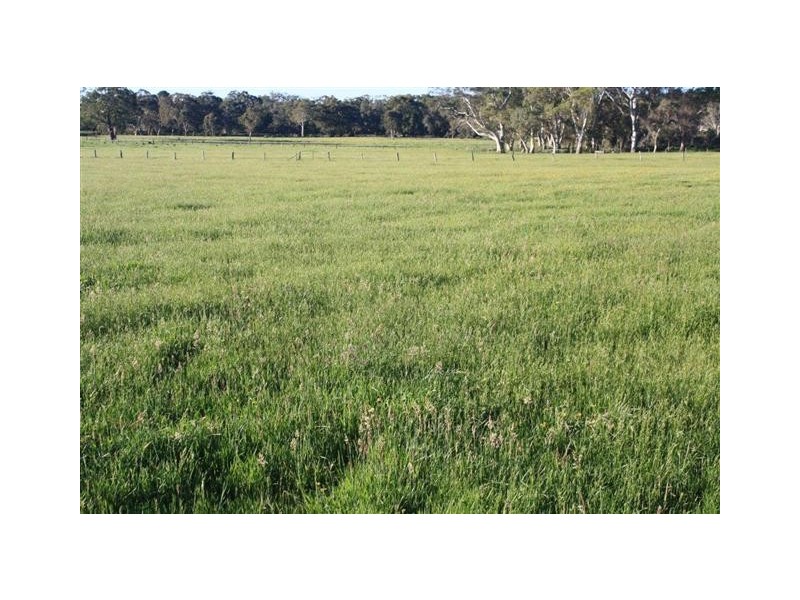 92 Harper Road, Meadows SA 5201