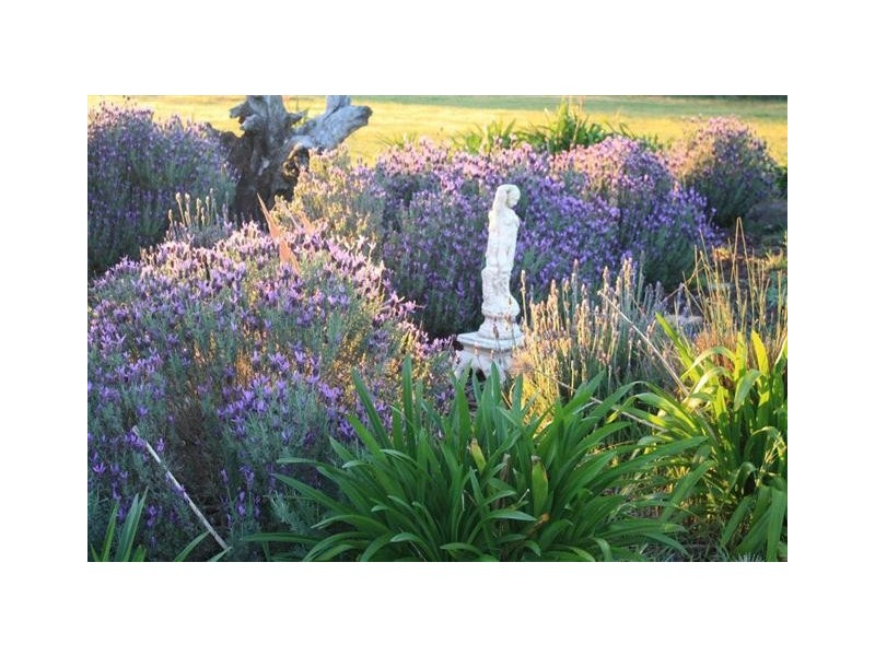 92 Harper Road, Meadows SA 5201