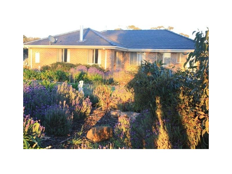 92 Harper Road, Meadows SA 5201