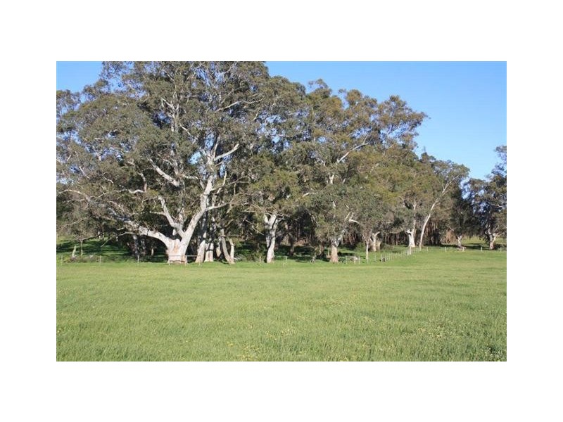 92 Harper Road, Meadows SA 5201