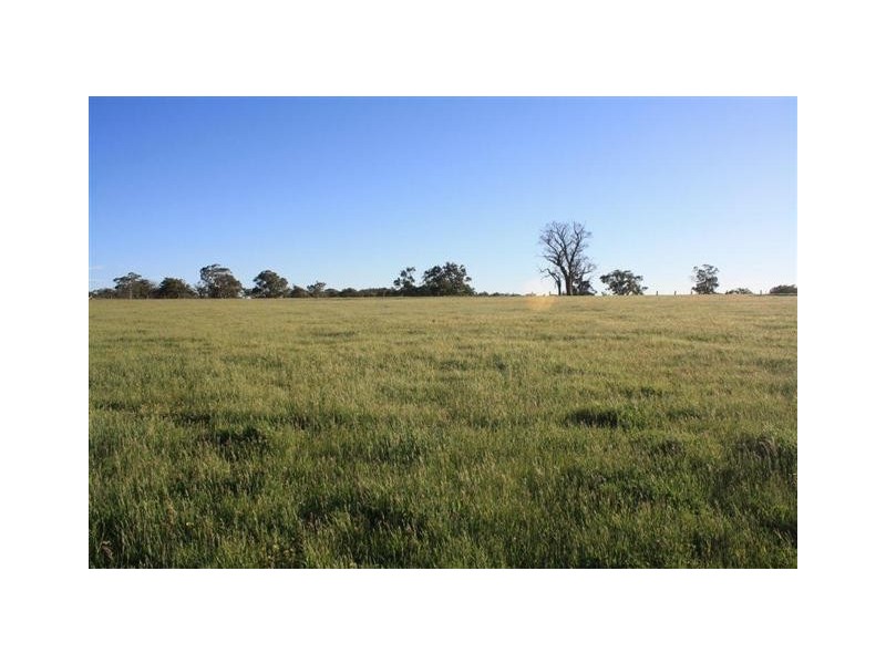 92 Harper Road, Meadows SA 5201