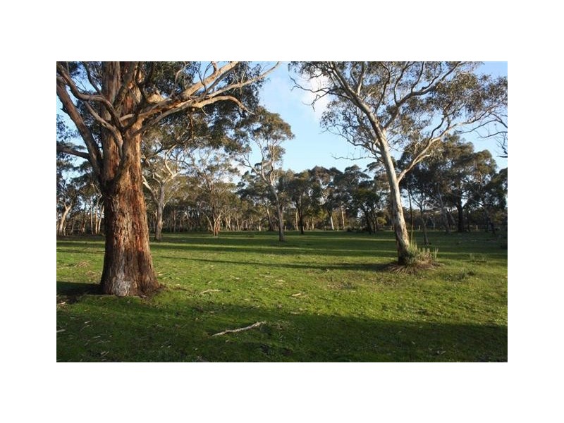 92 Harper Road, Meadows SA 5201