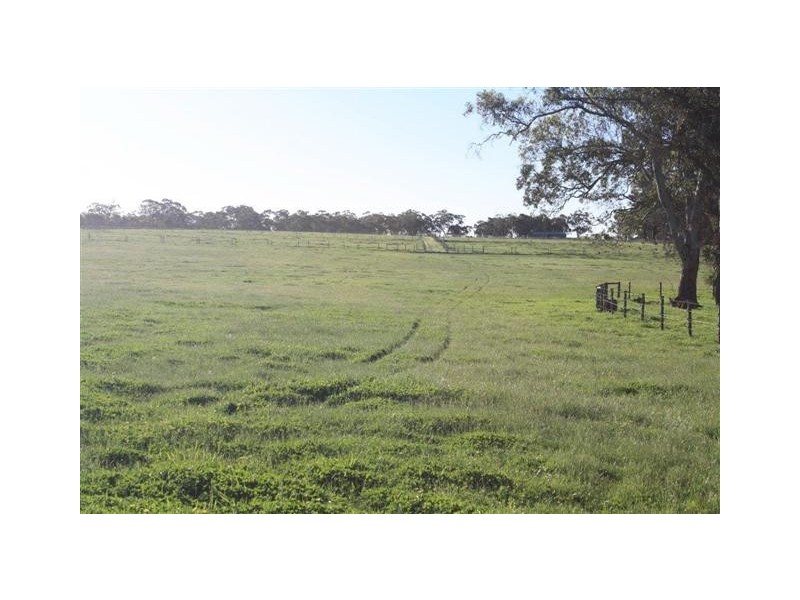 92 Harper Road, Meadows SA 5201