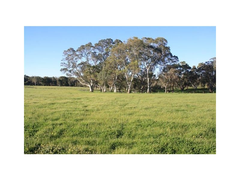 92 Harper Road, Meadows SA 5201