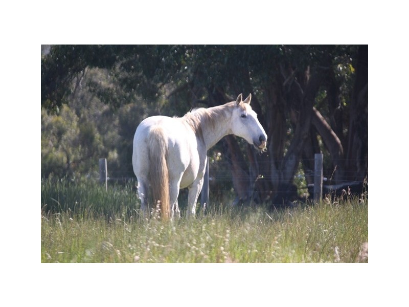 92 Harper Road, Meadows SA 5201