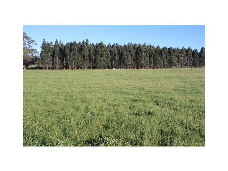 92 Harper Road, Meadows SA 5201