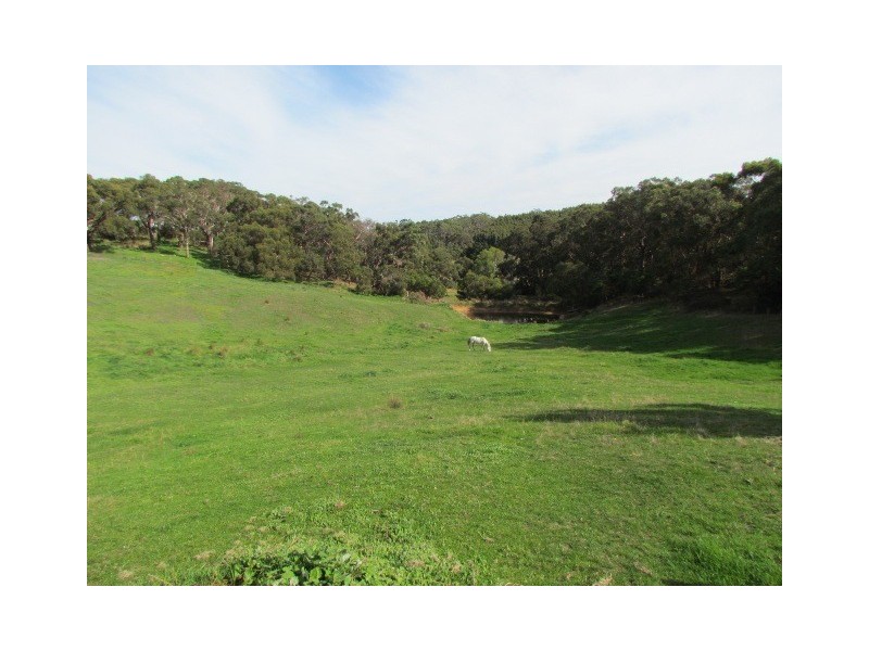 123 Pearson Road, Meadows SA 5201