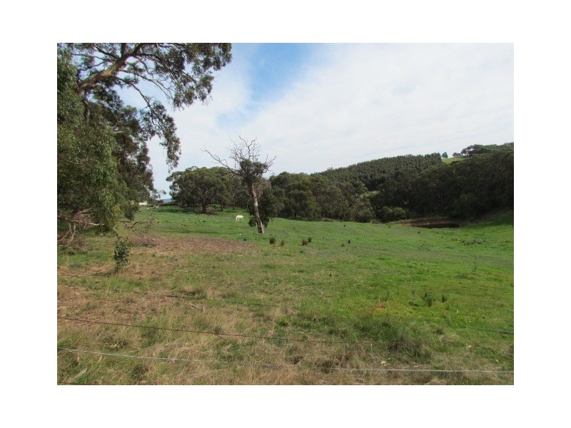 123 Pearson Road, Meadows SA 5201