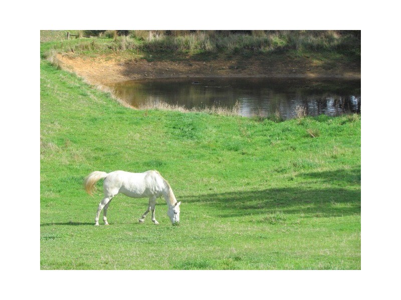 123 Pearson Road, Meadows SA 5201