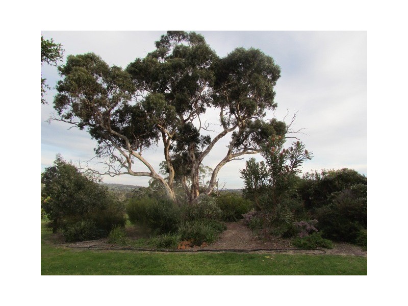 1946 Kangarilla Road, Kangarilla SA 5157