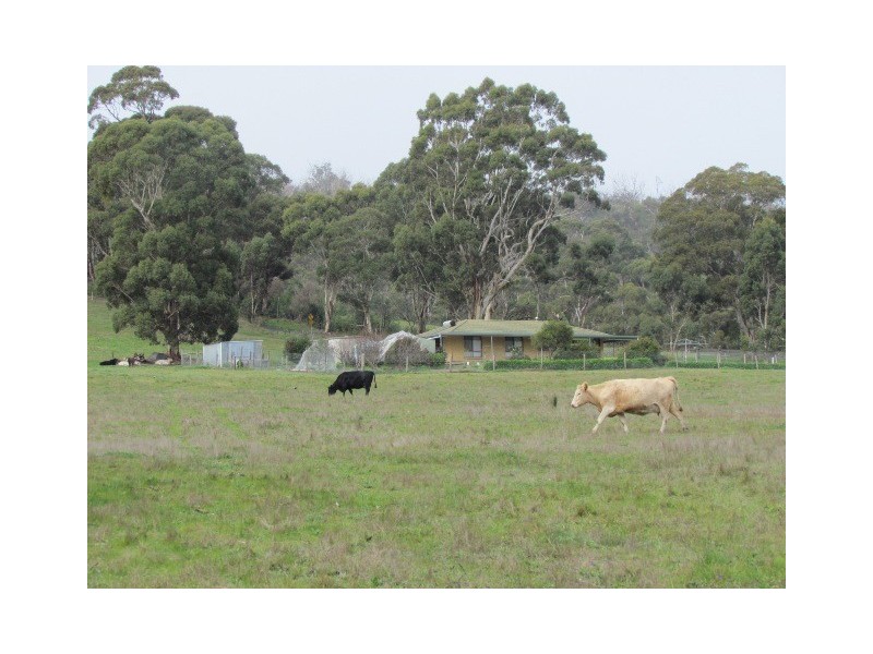 125  Saddlebags Road, Kangarilla SA 5157