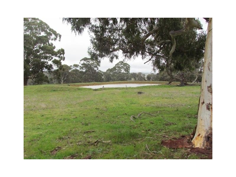 125  Saddlebags Road, Kangarilla SA 5157