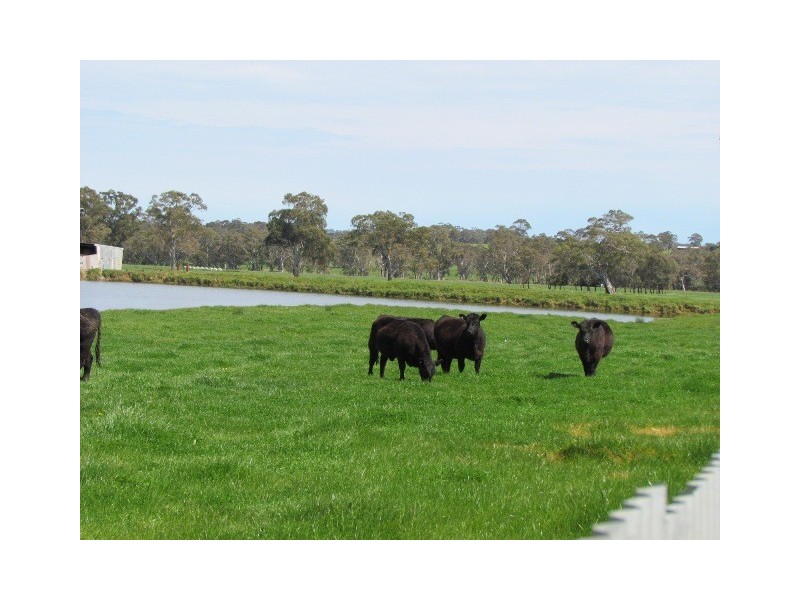 237 Kondoparinga Road, Meadows SA 5201