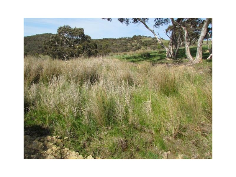 Lot 4 Bahloo Glen Road, Mount Compass SA 5210