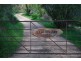 808 Bull Creek Road, Bull Creek SA 5157