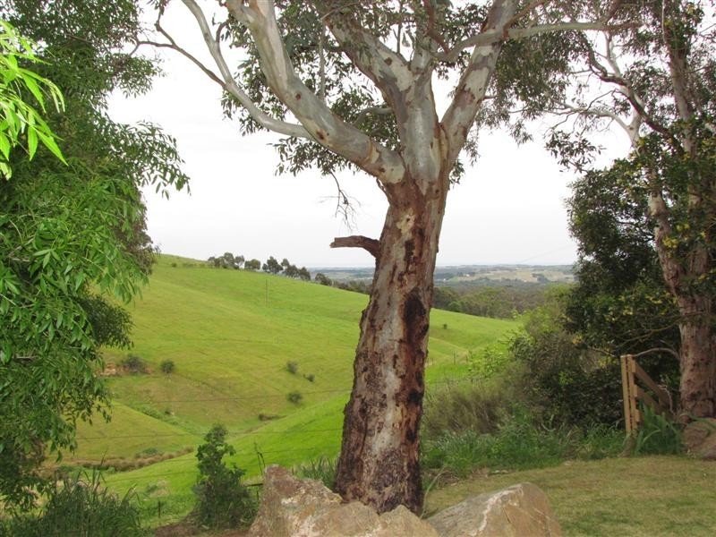 22 Connors Lane, Kangarilla SA 5157