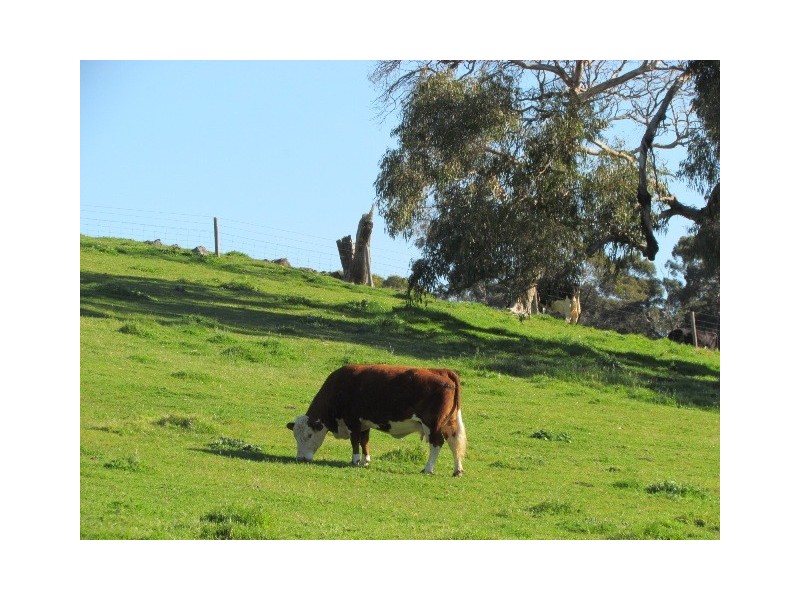 214 Broadbent Road, Paris Creek SA 5201