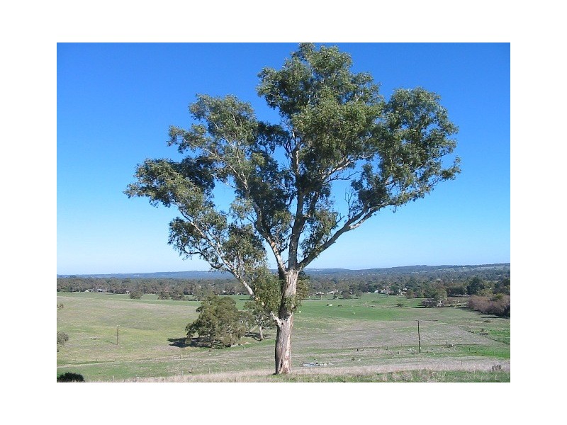 Lot 10 Macquarie Parade, Meadows SA 5201