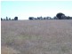 Lot 50 Grainstack Road, Stansbury SA 5582