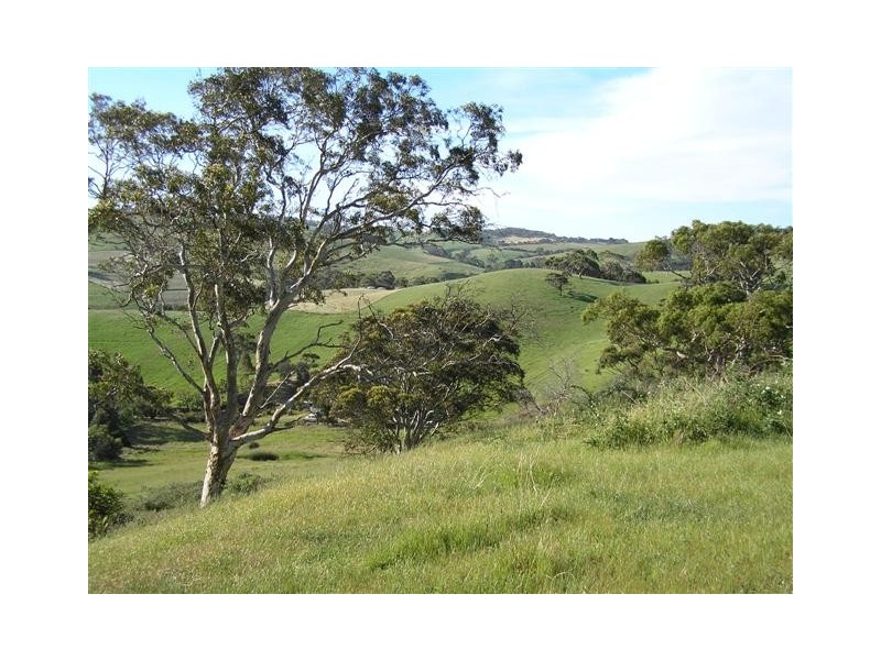 421 Bull Creek Road, Meadows SA 5201